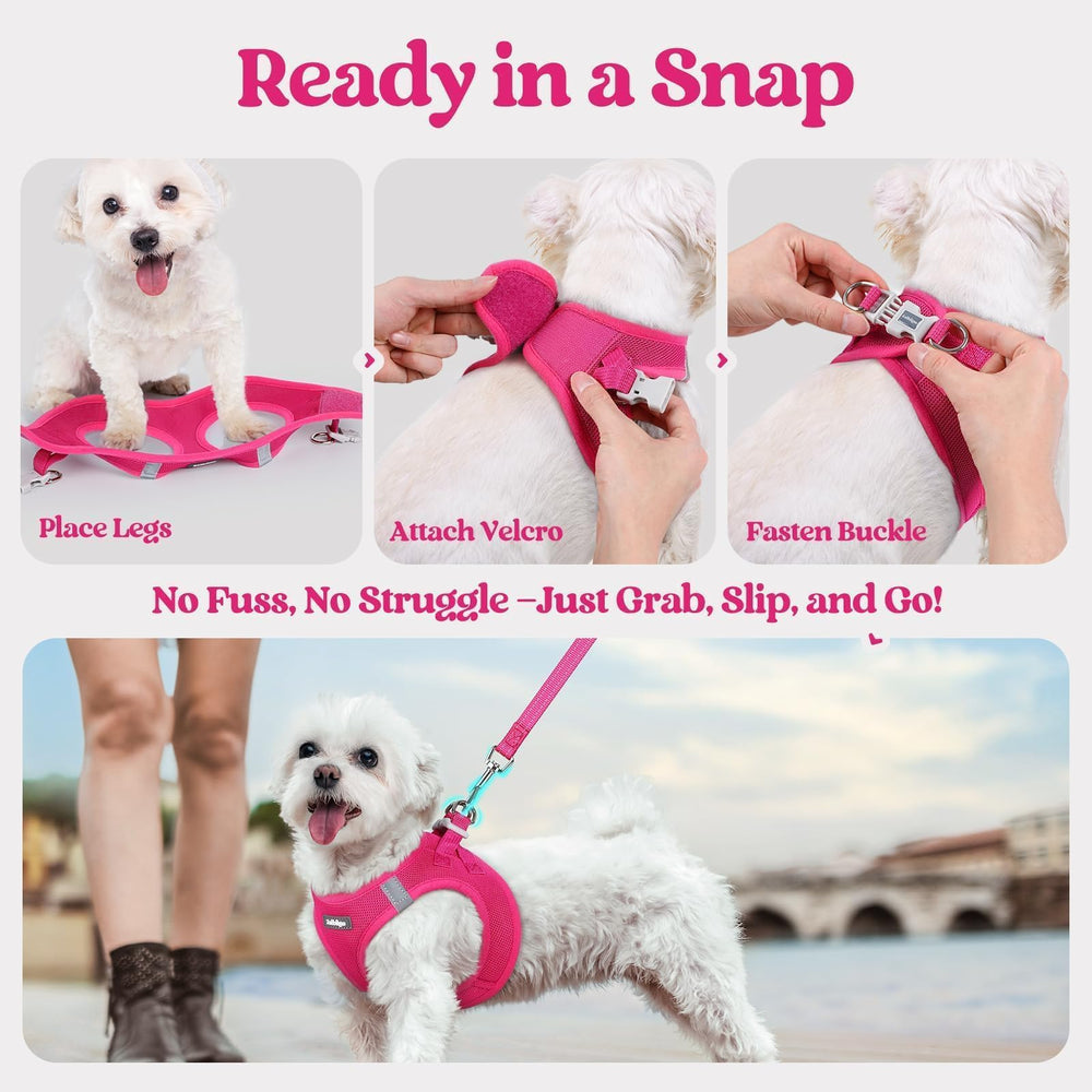 rabbitgoo lightweight 0.2lb harness reduces burden on small dogs.
