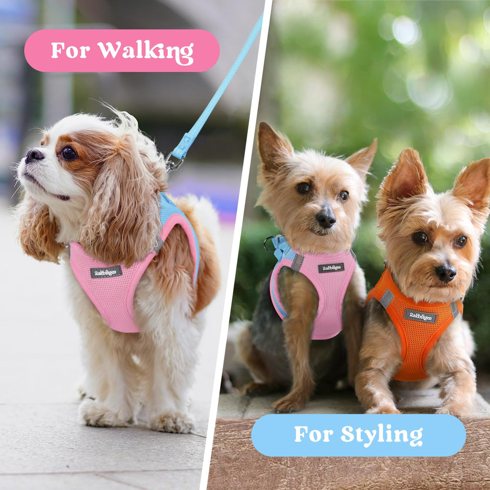 Rabbitgoo lightweight harness blends fashion with function