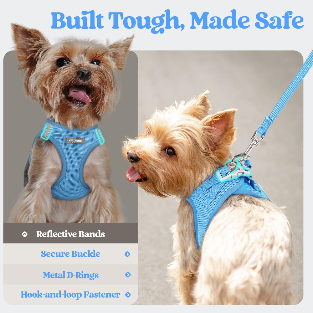 Rabbitgoo lightweight soft edges promote a comfy fit on active pups.