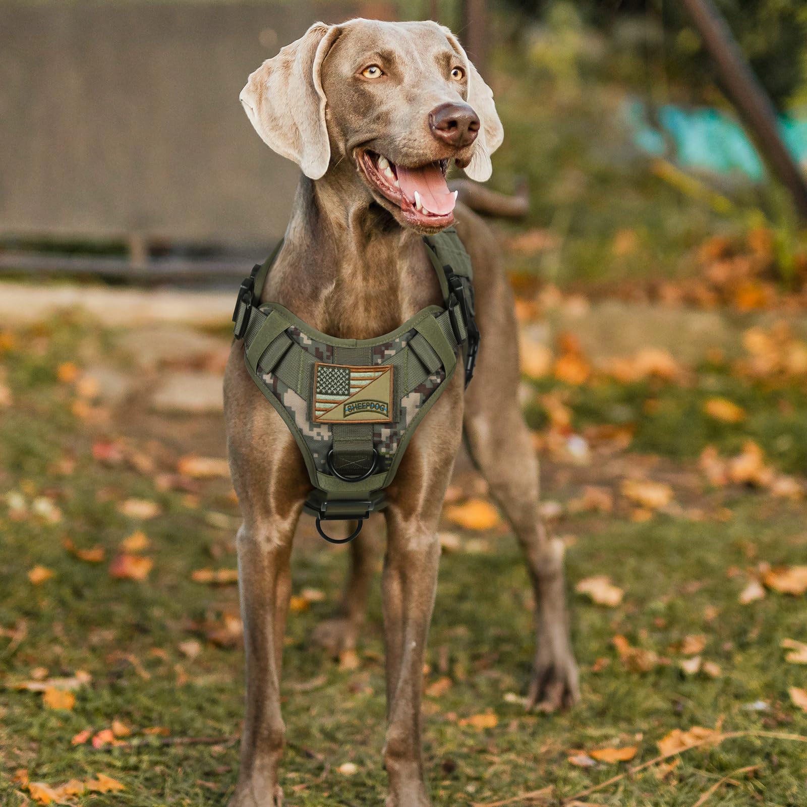 Rabbitgoo military-style vest with Velcro patches for personality badges.