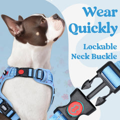 Rabbitgoo no-pull harness with three buckles eases on-off for busy owners.