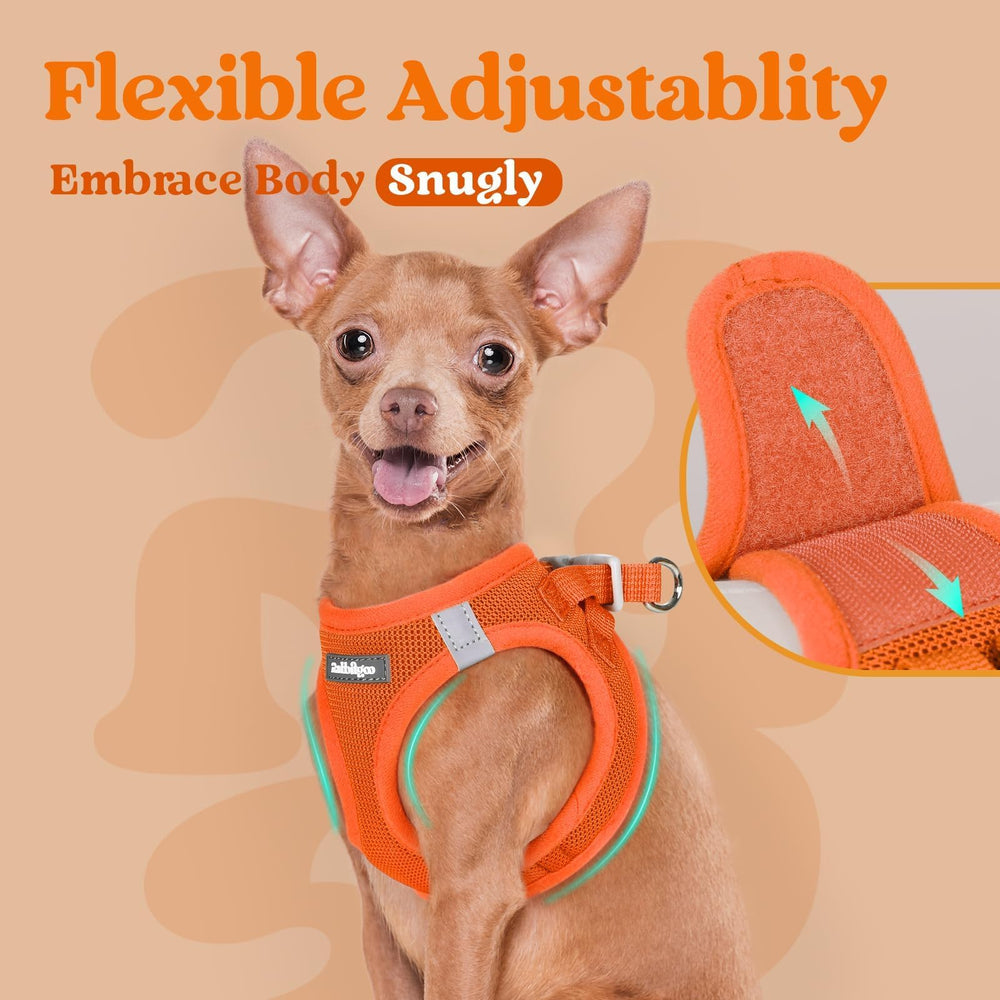 Rabbitgoo orange harness adds vibrant style to outings