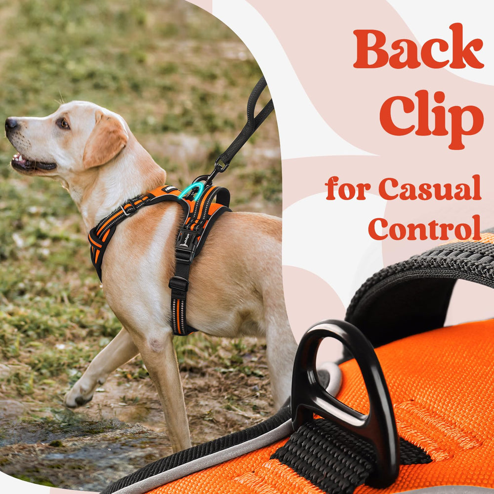 Rabbitgoo padded vest with soft edges reduces irritation during wear.