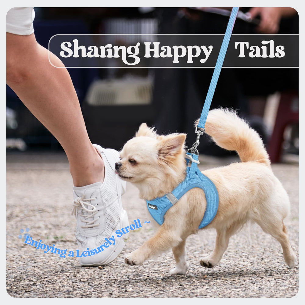Rabbitgoo palm-friendly handle leash supports comfortable control during busy streets.