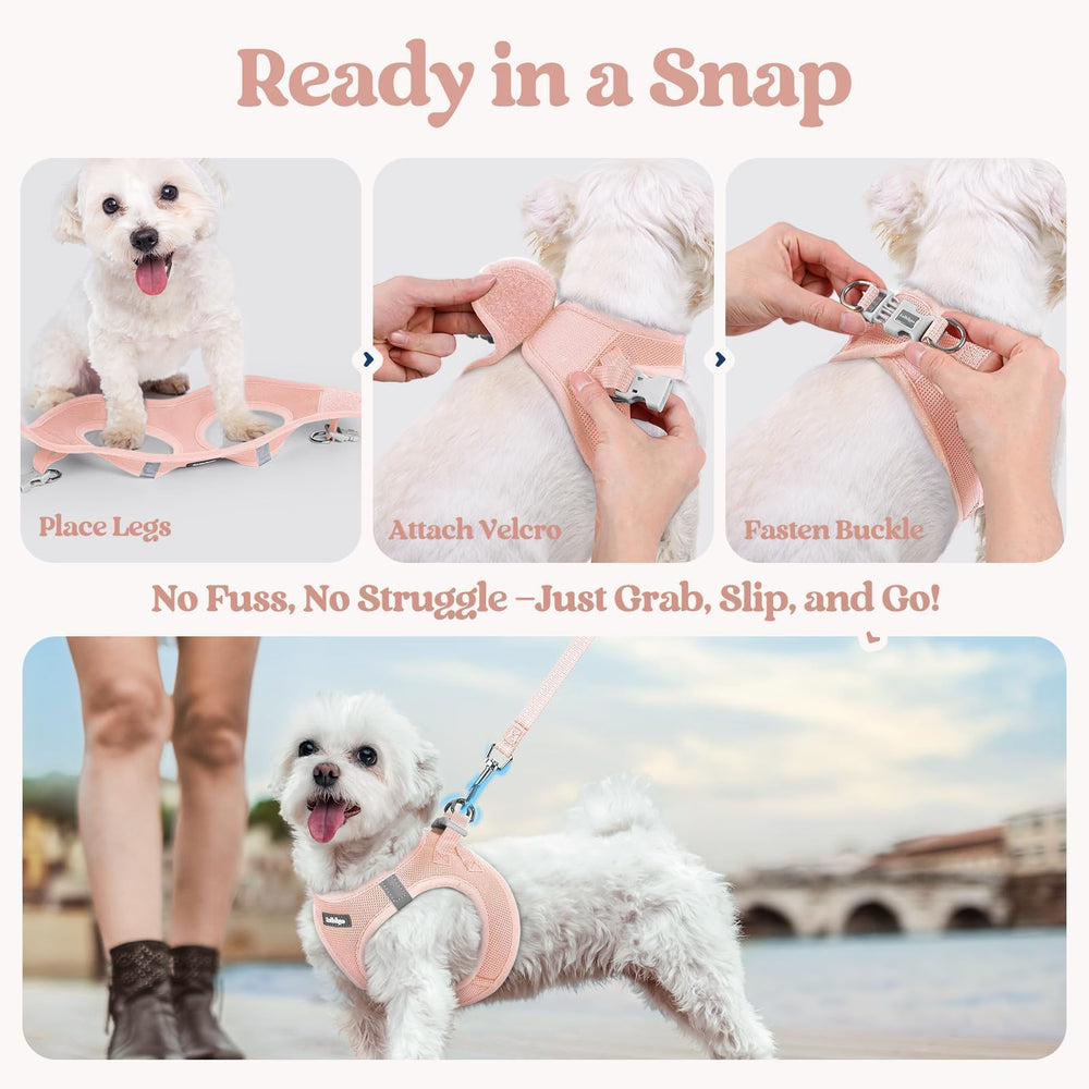 Rabbitgoo palm-friendly handle offers comfortable grip for owners.