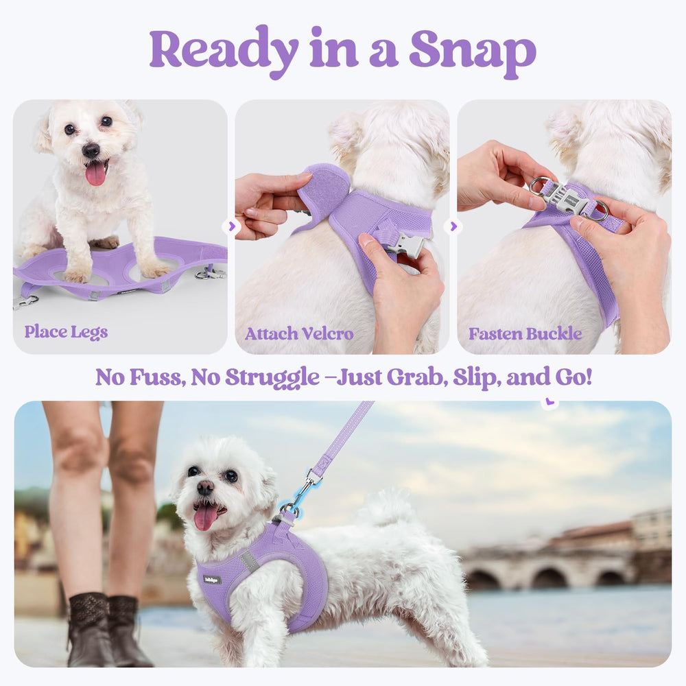 Rabbitgoo palm friendly handle on the leash for comfort