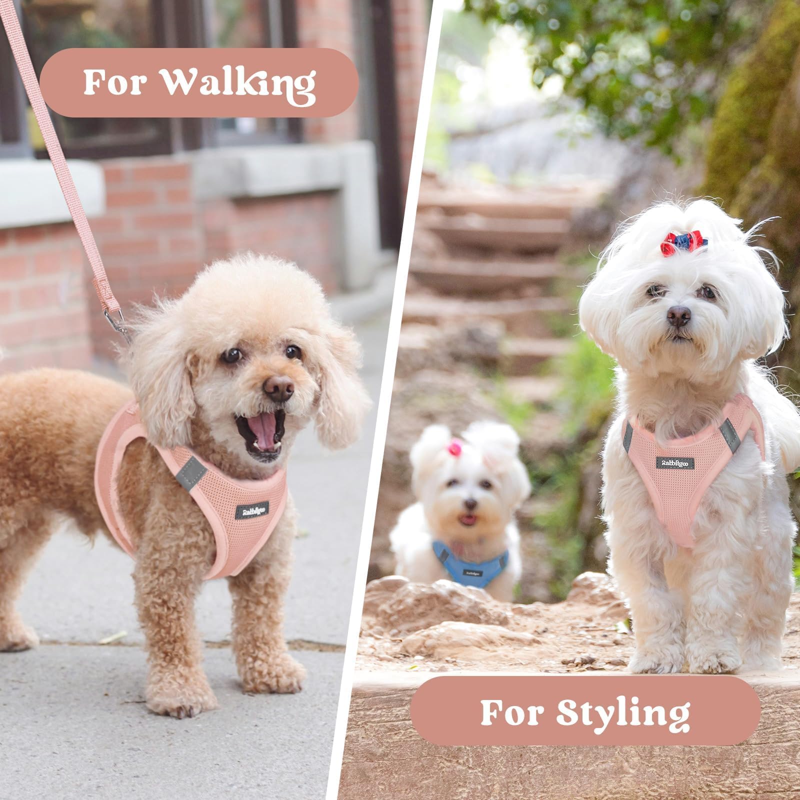 Rabbitgoo pink dog harness worn during fashion-friendly outings