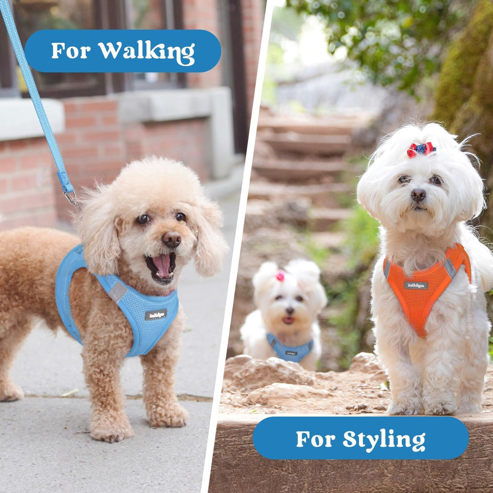 Rabbitgoo puppy travel vest for versatile outings