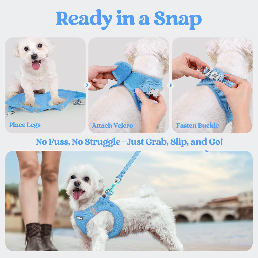 Rabbitgoo puppy-walking setup enables easy stepping-in and secure outings.