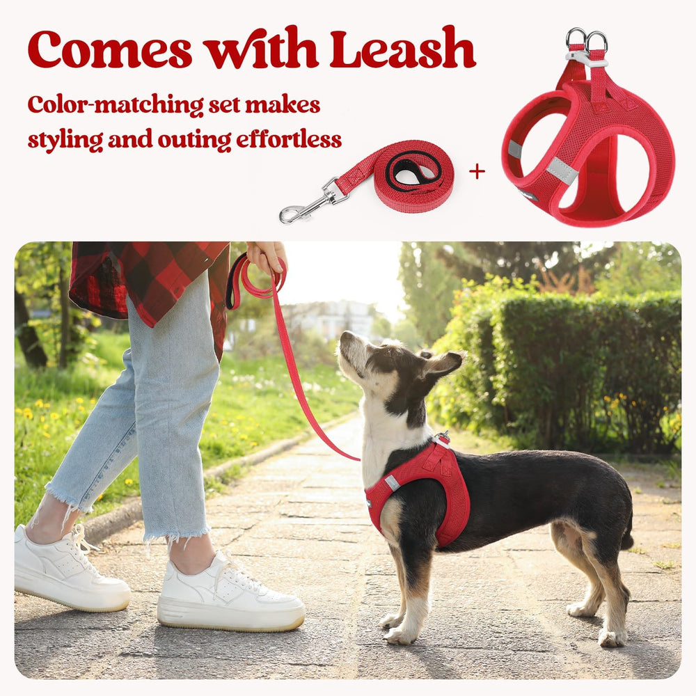 Rabbitgoo reflective bands on XXL red harness boost nighttime visibility.