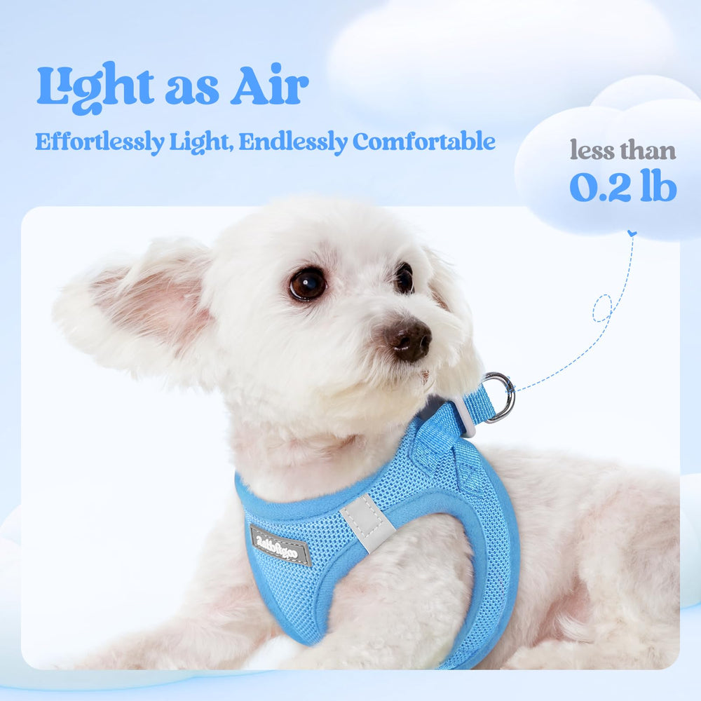 Rabbitgoo reflective bands harness increases visibility for safer dog outings.
