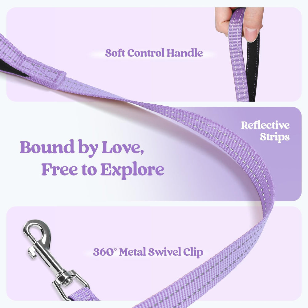 Rabbitgoo reflective bands harness for safer evening strolls