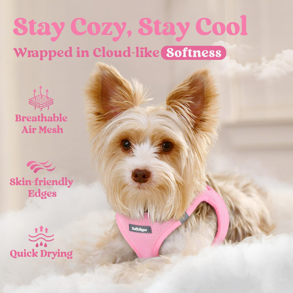 Rabbitgoo reflective bands on pink harness for night visibility