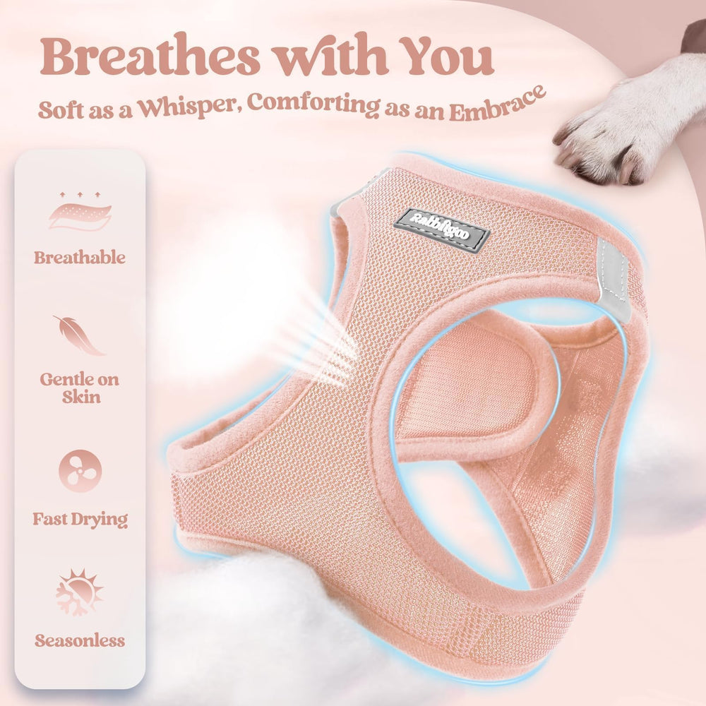 Rabbitgoo reflective bands increase visibility for safer evening outings.