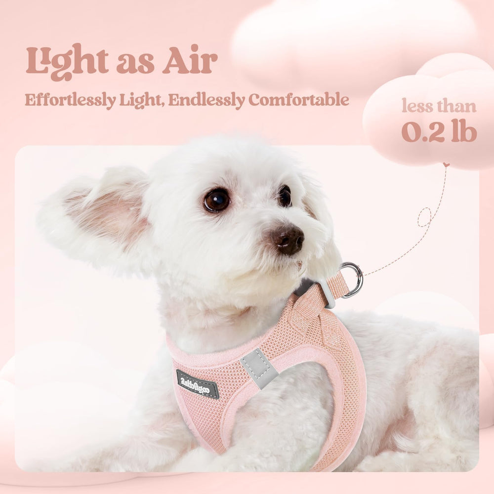 Rabbitgoo reflective pink harness improves visibility for safe night walks
