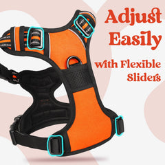 Rabbitgoo harness highlights reflective stitching for better night visibility.