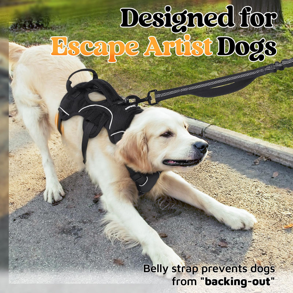 Rabbitgoo reflective strips ensure high visibility during night walks with large dogs.