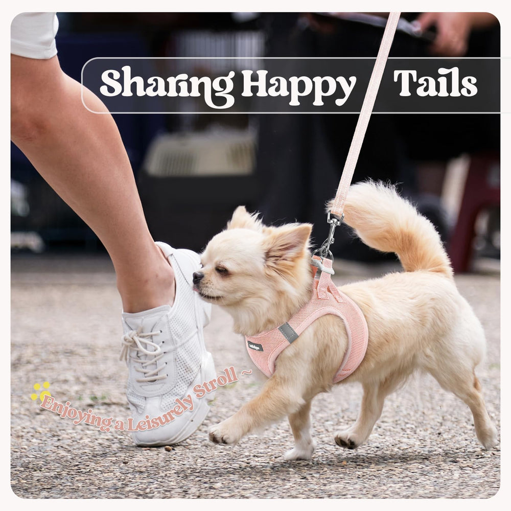 Rabbitgoo lightweight harness at 0.2lbs for tiny dogs