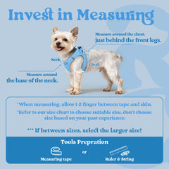 Rabbitgoo safety buckle and D-ring for secure leash attachment