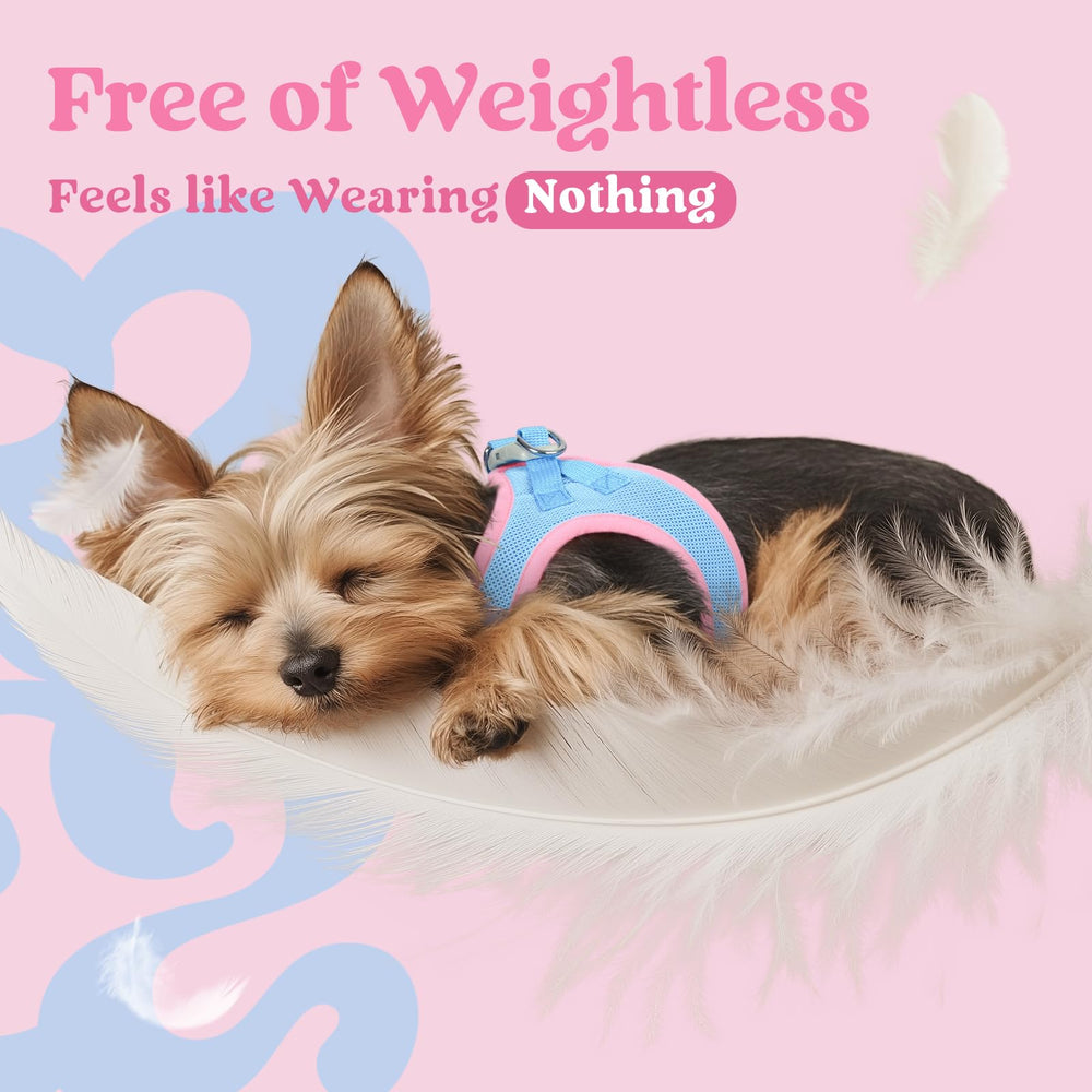 Rabbitgoo safety buckle with magic tape closures ensures secure fit