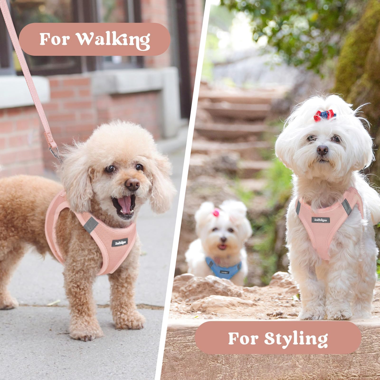 Rabbitgoo size guidance helps choose the best fit.
