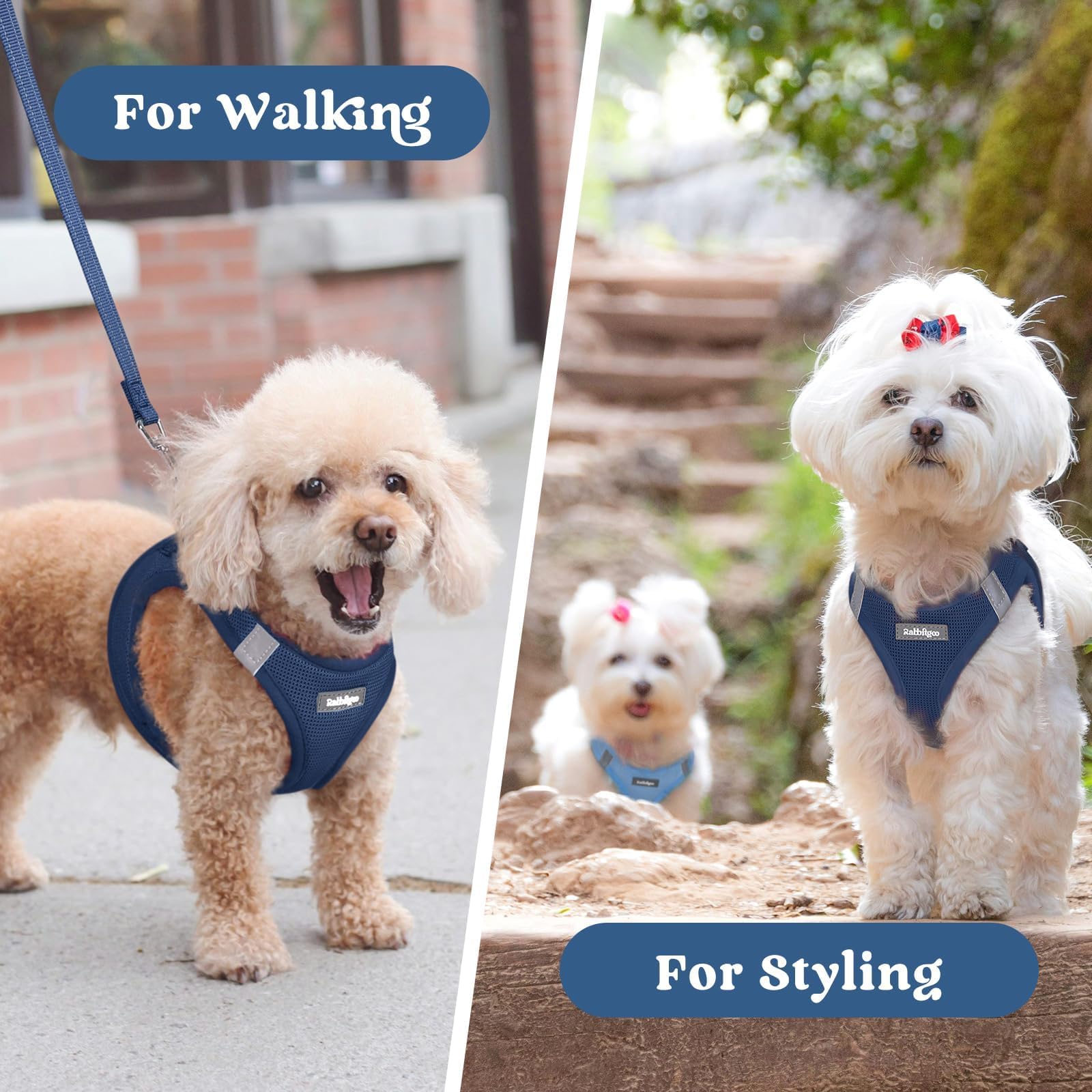 Rabbitgoo L size harness with clear size guide for proper fit