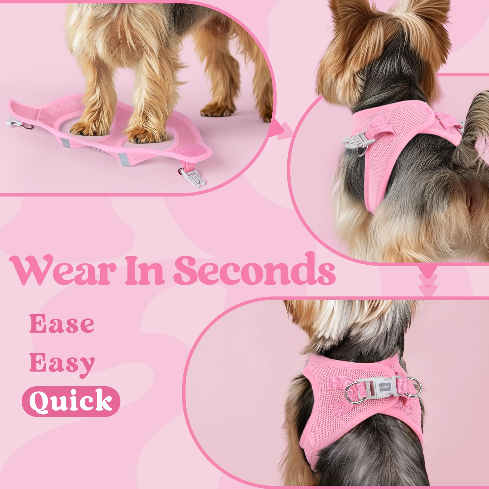 Rabbitgoo small dog harness adjustable neck and chest fit for small dogs.
