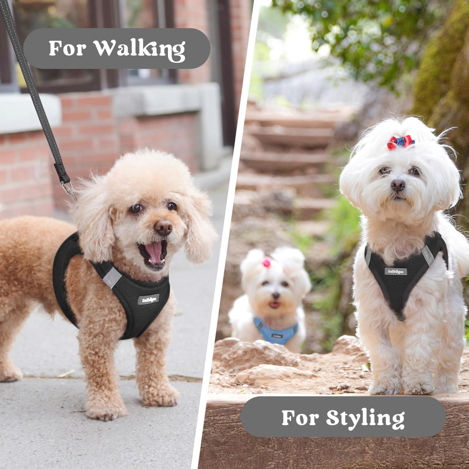 rabbitgoo small dog harness black-l option for stylish, comfy outings.