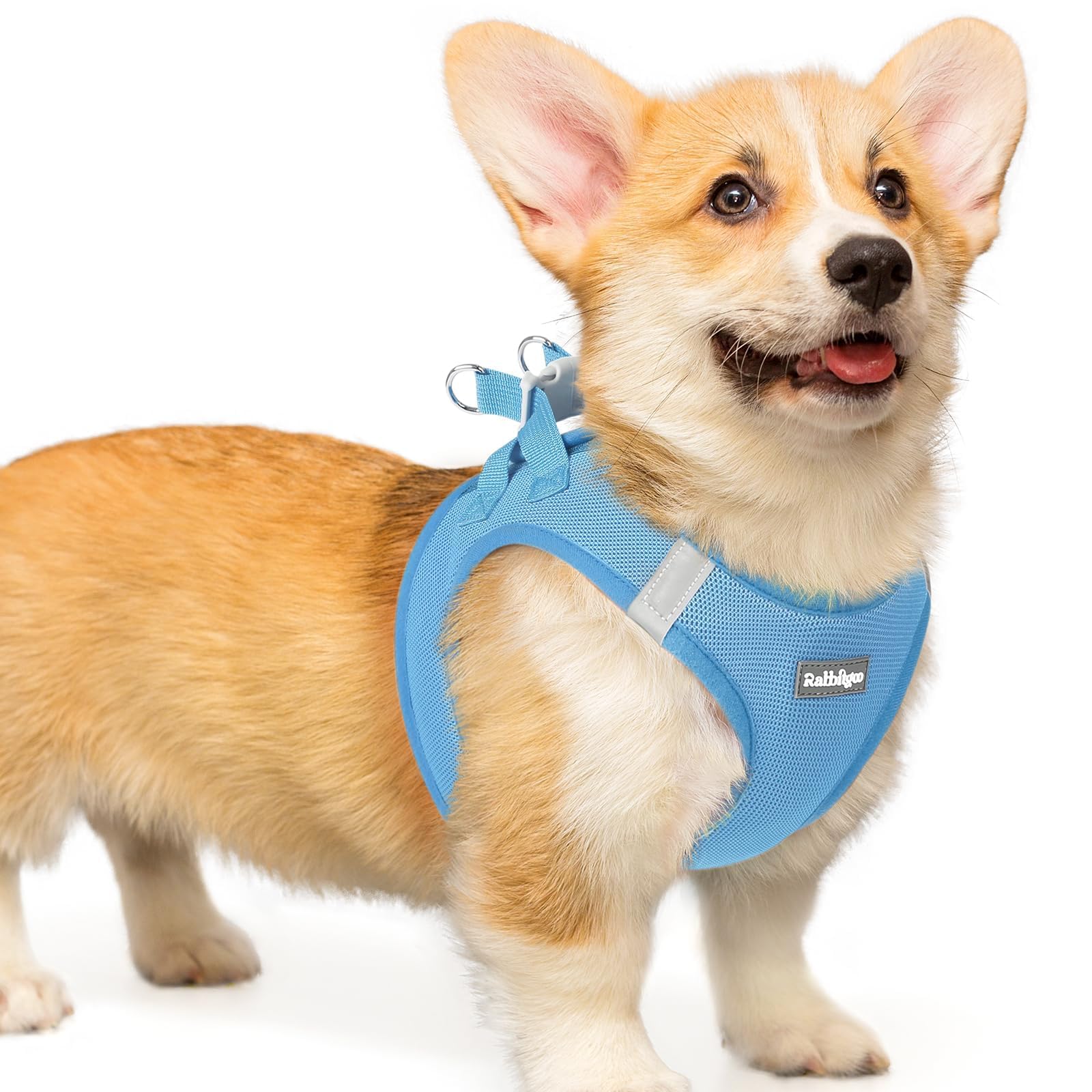Rabbitgoo small dog harness blue step-in mesh for easy wear and comfort.