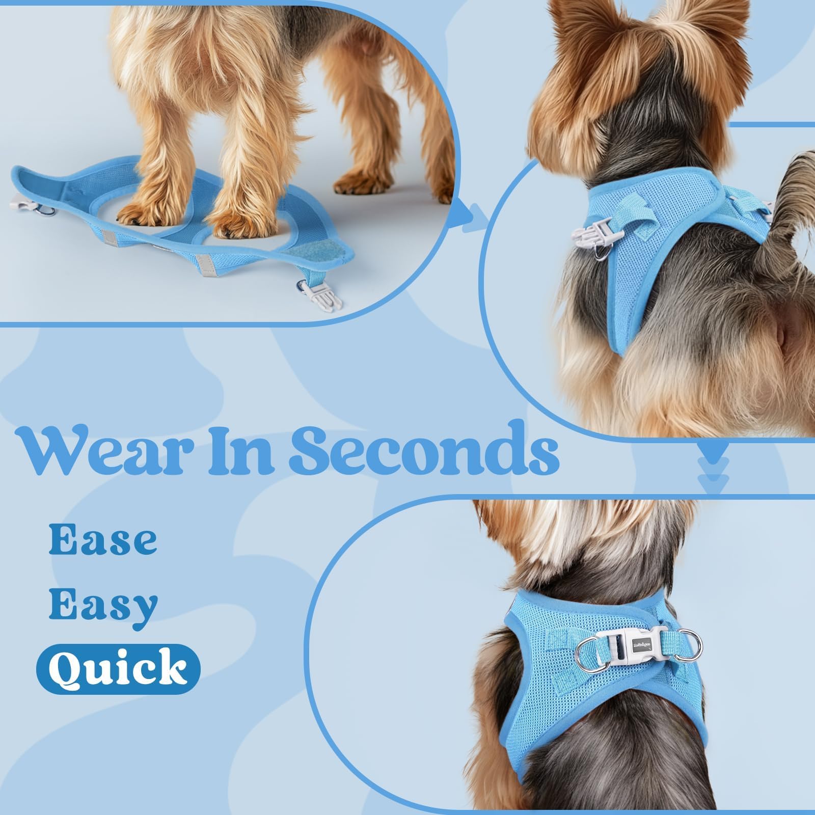 Rabbitgoo harness blue D-ring attachment ready for sturdy leash control