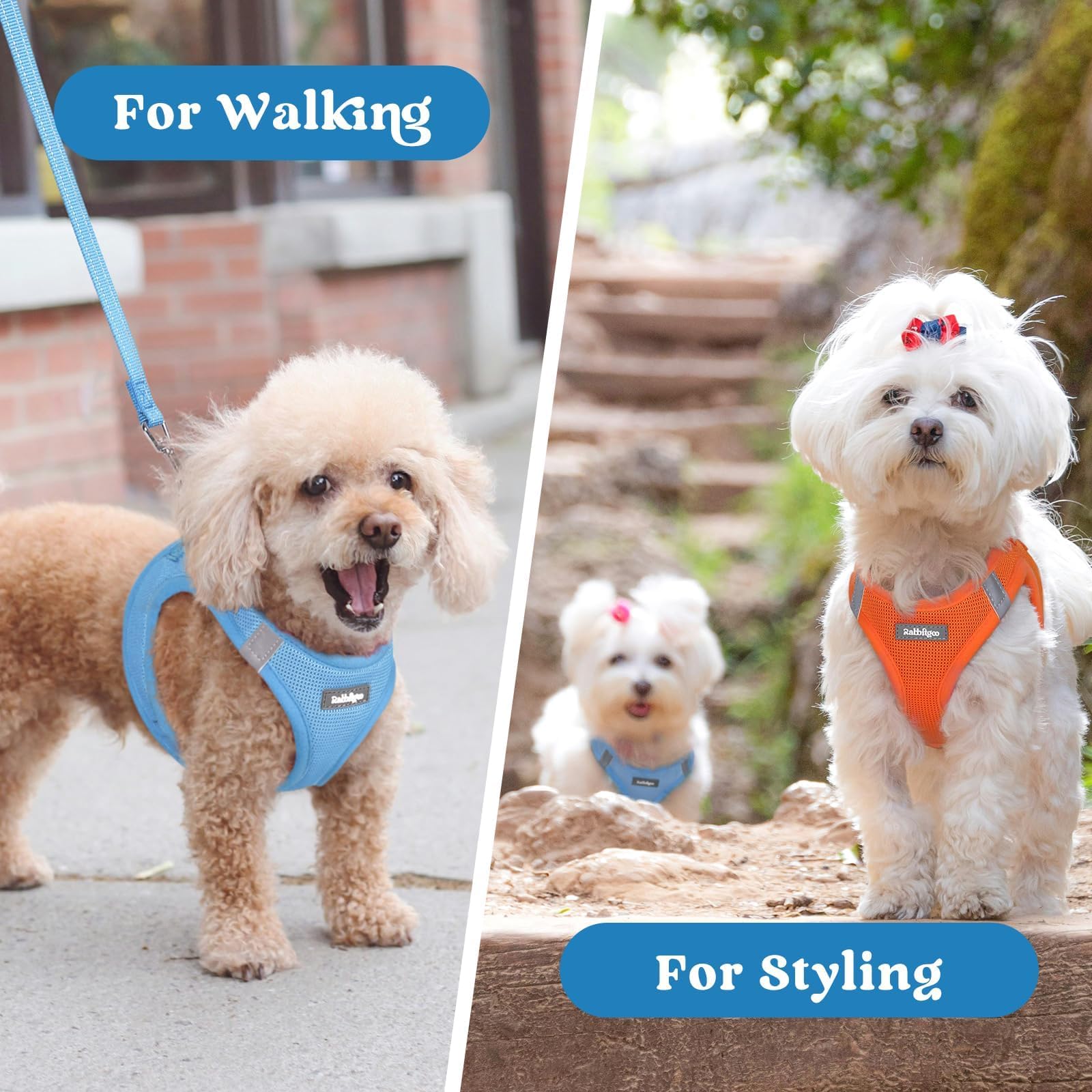 Rabbitgoo travel-friendly harness in blue ideal for trips and playdates
