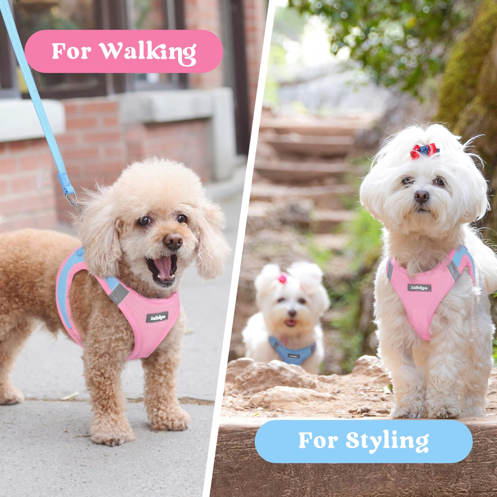 Rabbitgoo small dog harness blue-pink colors offer style and practical daily use.