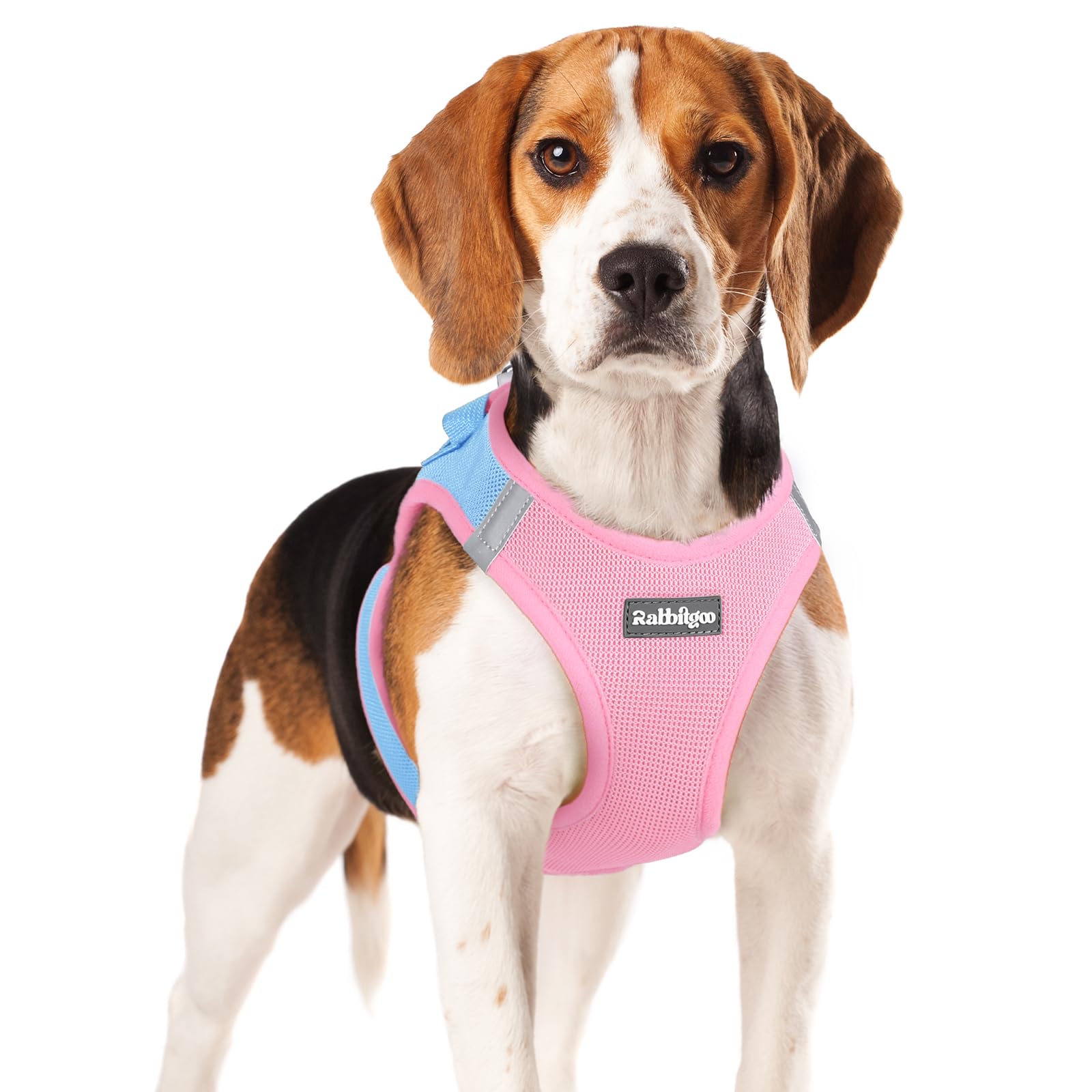 Rabbitgoo small dog harness blue side view shows breathable mesh for cool daily walks.