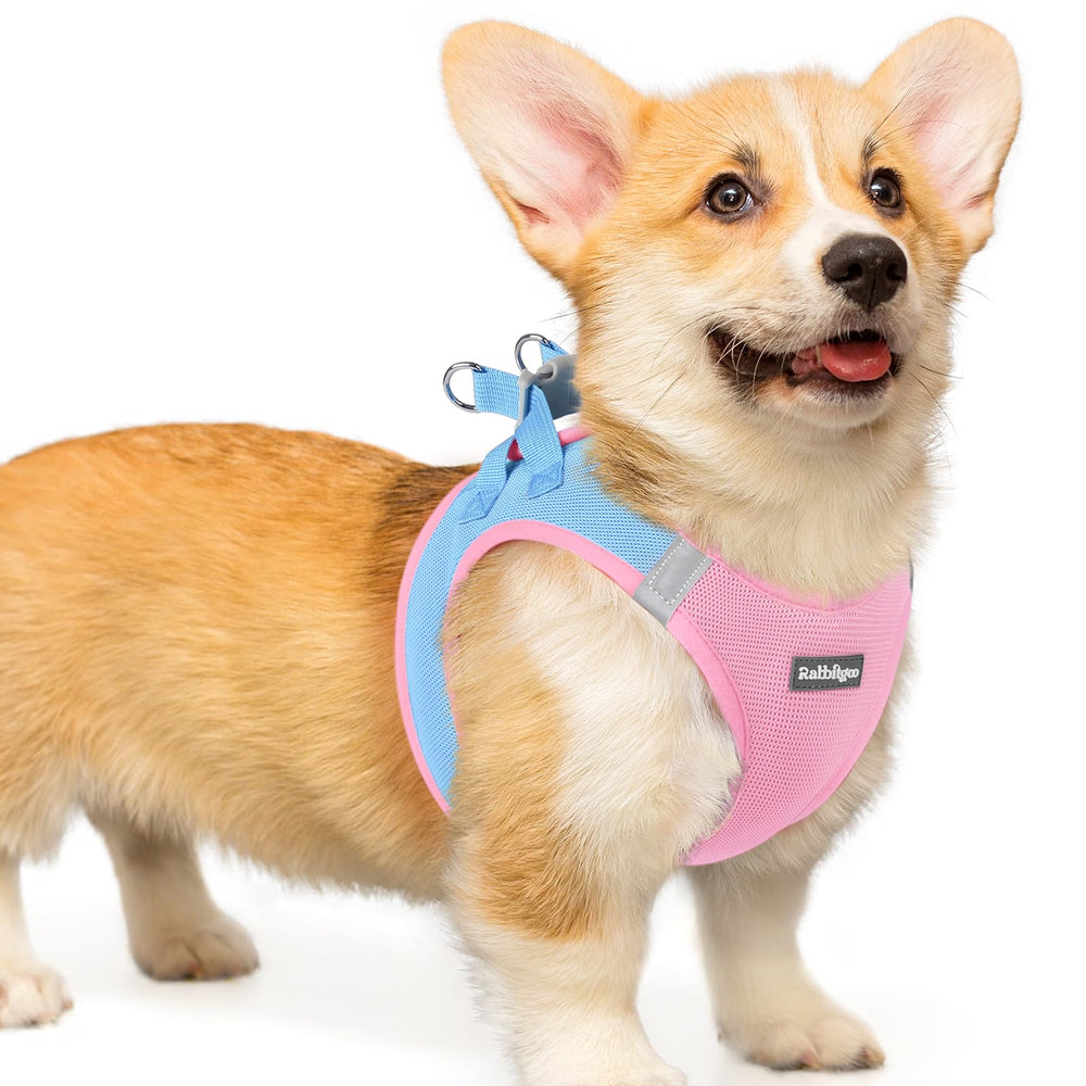 Rabbitgoo small dog harness blue side view for comfortable daily walks