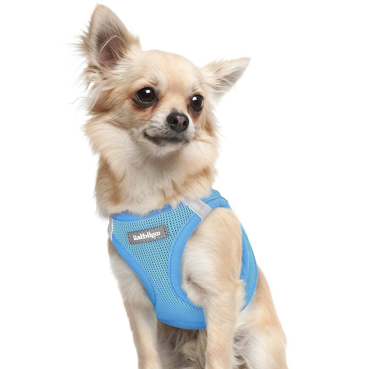 Rabbitgoo small dog harness blue XXXS with step-in design for easy wear.