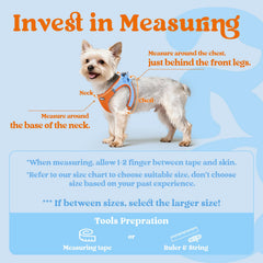 Rabbitgoo small dog harness breathable mesh in blue orange