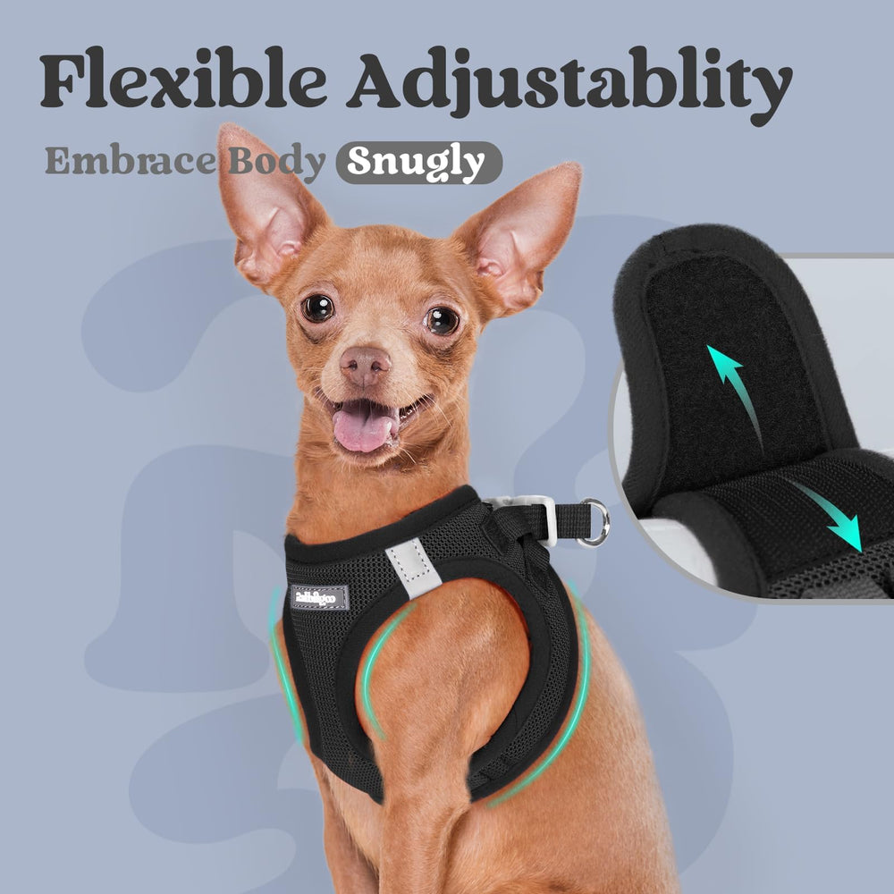rabbitgoo small dog harness color options display vibrant hues for pets personalities
