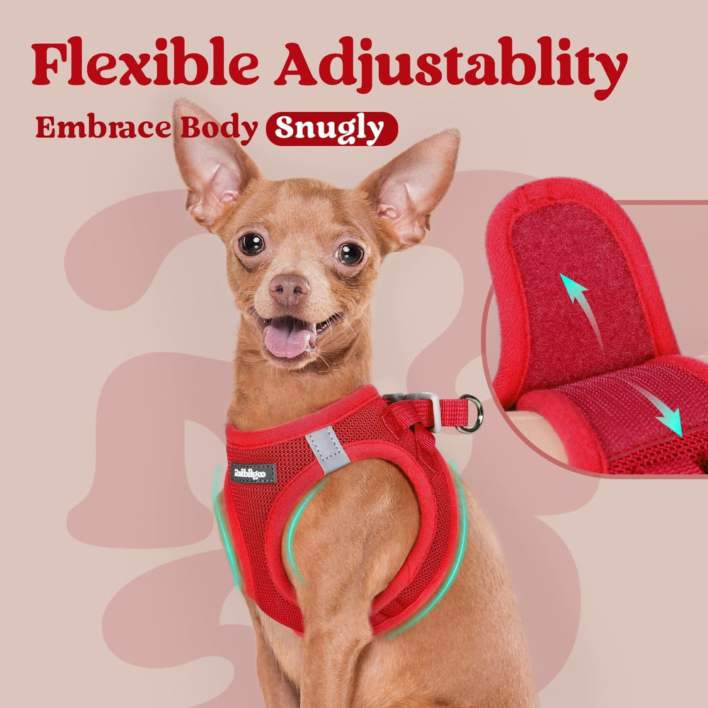 Rabbitgoo harness on dog demonstrates comfortable, snug fit.
