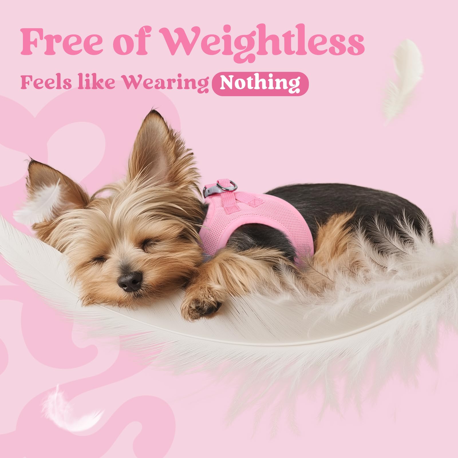 Rabbitgoo small dog harness D-ring leash attachment supports reliable control.