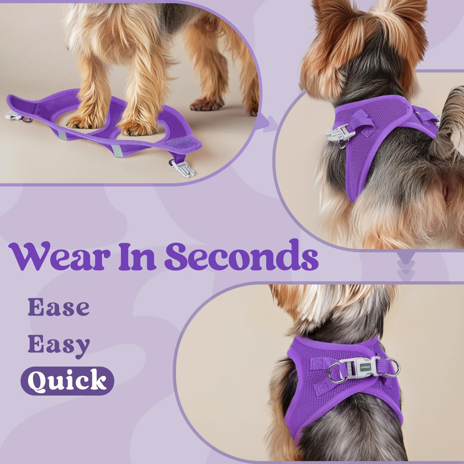rabbitgoo small dog harness quick-dry breathable fabric supports all-weather adventures