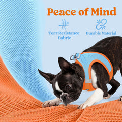 Rabbitgoo harness features D-ring leash attachment for steady control