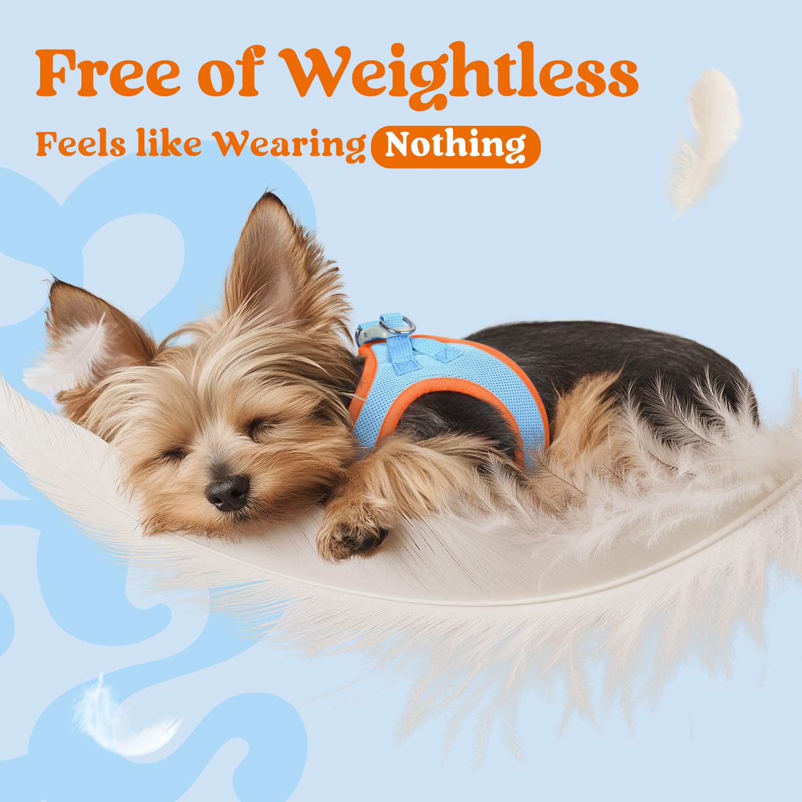 rabbitgoo small dog harness-d-ring-leash orange – sturdy D-ring attachment supports confident leash control.