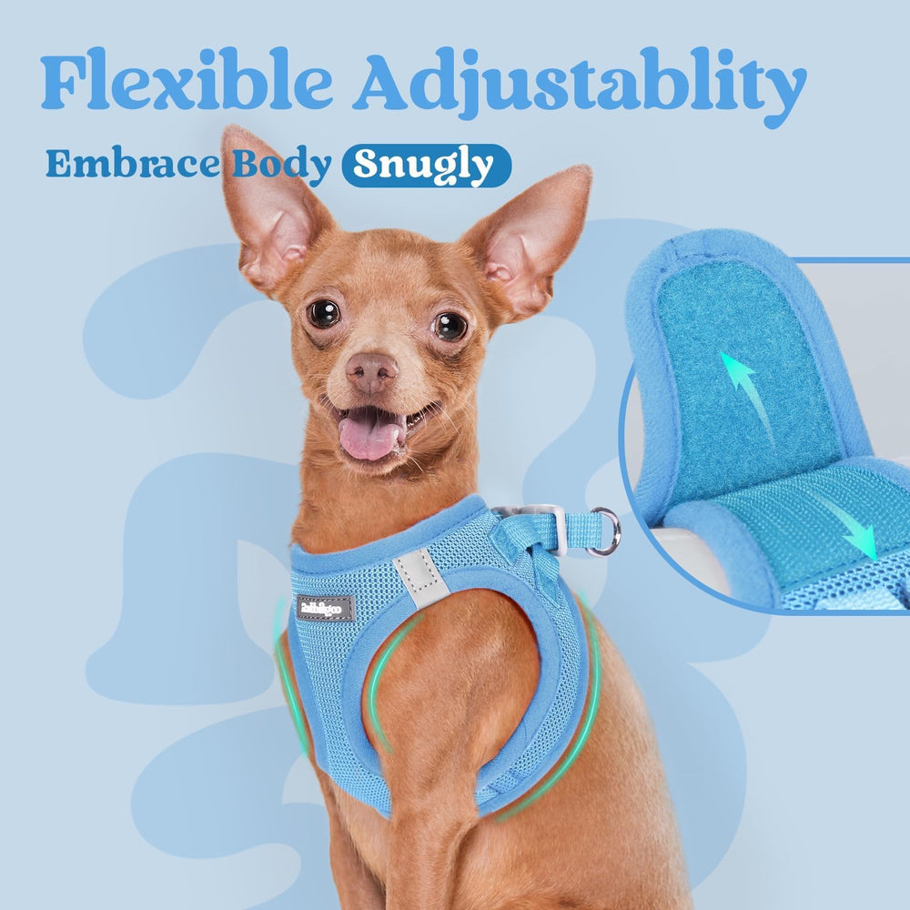 Rabbitgoo D-ring attachment demonstrates stable leash connection and control.