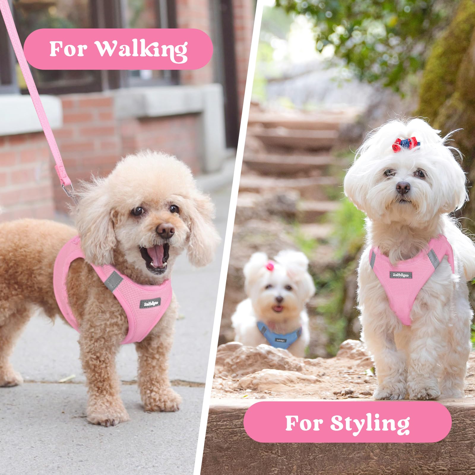 Rabbitgoo Small Dog Harness easy-on-off design saves time during outings