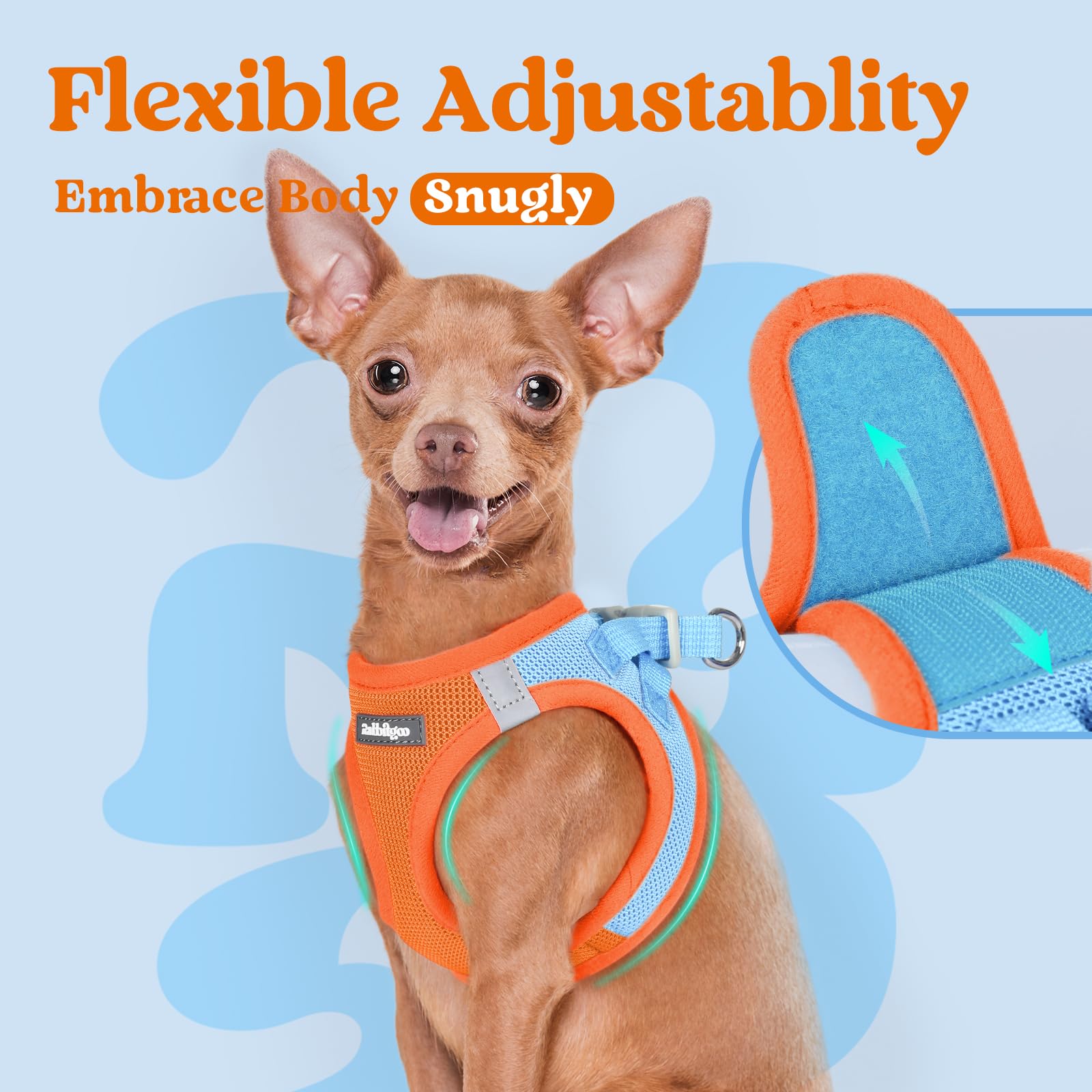 Rabbitgoo quick-dry air mesh keeps pups cool during outdoor adventures