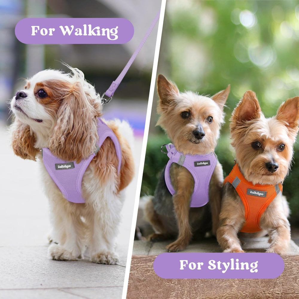 Rabbitgoo step-in harness is easy to put on for wiggly pups