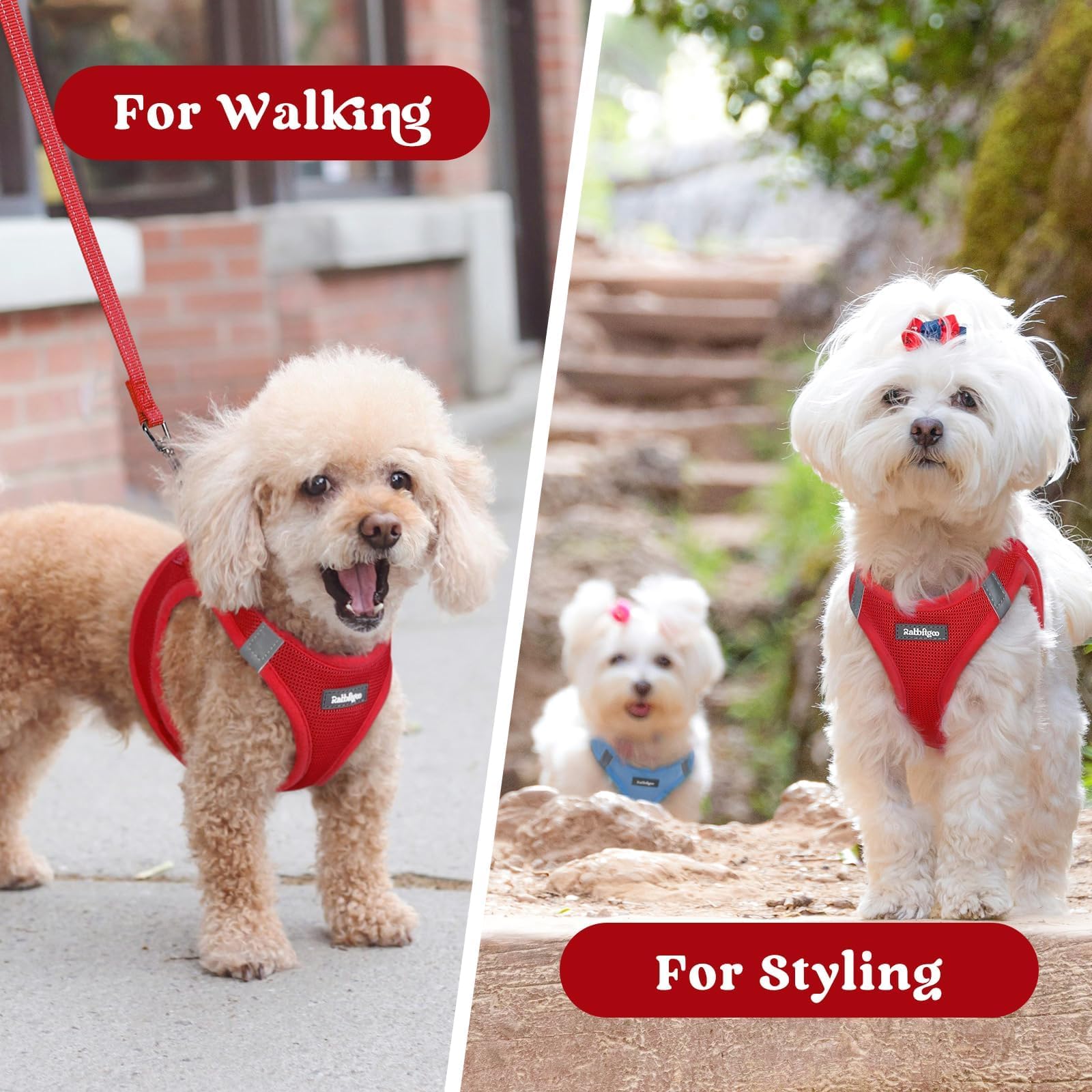 Rabbitgoo red XXL harness for everyday outings.