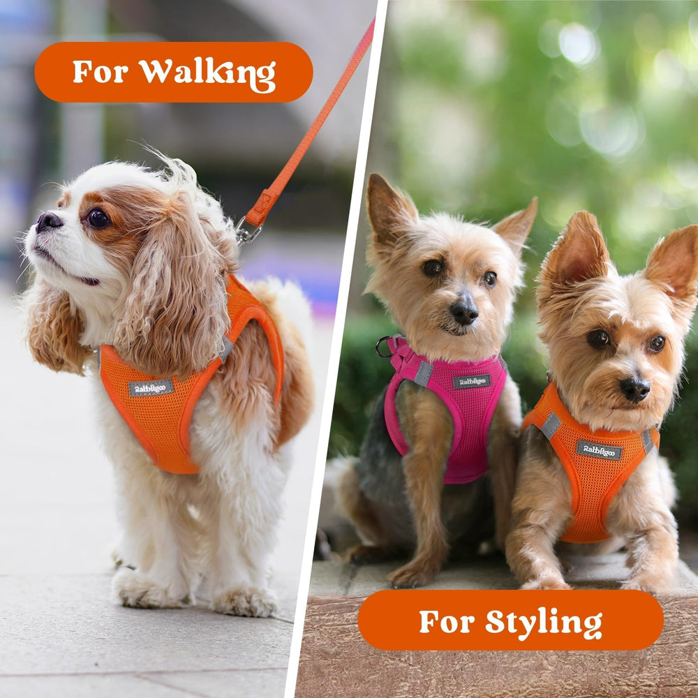 Rabbitgoo small dog harness fashionable orange vest adds personality to walks.