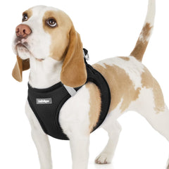 rabbitgoo small dog harness front view in soft mesh for comfortable daily walks