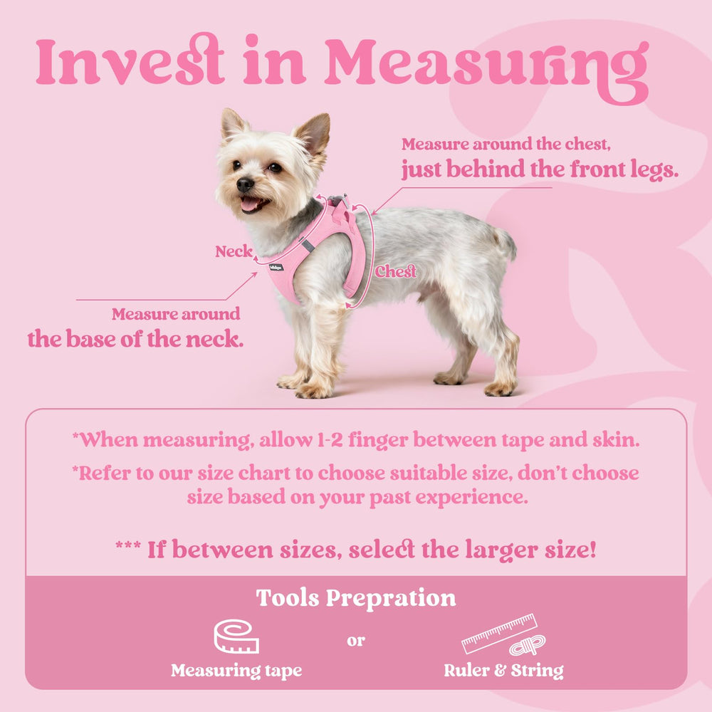 Rabbitgoo light-pink XS harness with soft air mesh keeps dogs cool during walks.